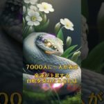 願いをコメントすると効果倍増⛩✨  #スピリチュアル #金運 #開運