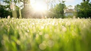 【ヒーリング・リラックス音楽】【睡眠】、癒し、瞑想、ストレス解消。心身の休息と疲労回復に。