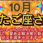 ふたご座⭐️10月⭐️“  より高いレベルのスピリチュアルな理解で愛ある解決策と新しい状況を導き出します〜〜”⭐️宇宙からのメッセージ ⭐️シリアン・スターシード・タロット⭐️Gemini ♊️