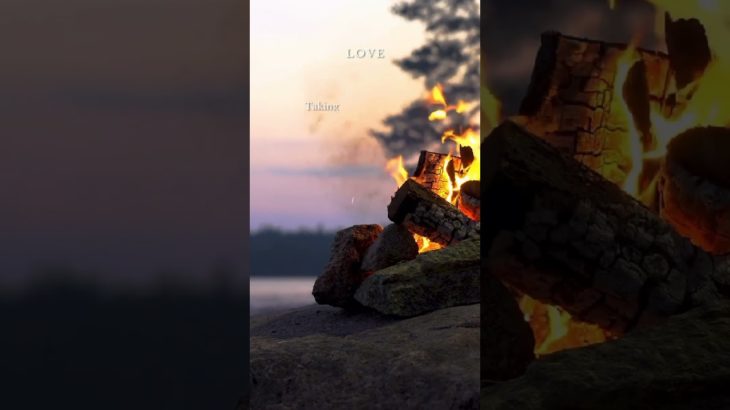 ❤️📖Advice on Love❤️📖 A healthy relationship comes from your well-being!