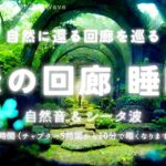 【睡眠用BGM・シータ波 睡眠 瞑想・睡眠導入】自然に還る回廊を巡り眠る 睡眠音楽 | 瞑想 音楽 | 水の音 睡眠 | 長時間 | 6Hz | バイノーラルビート 睡眠 瞑想 | ONS-0233