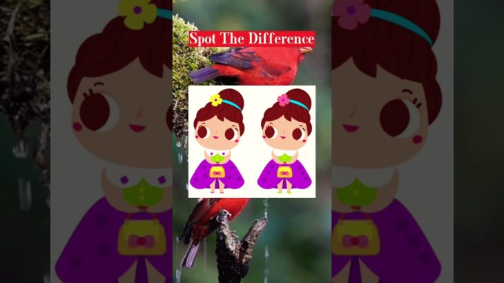 Health & Well-being – Spot the Difference