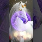 LINEともだち追加はコメント欄から⛩✨  #スピリチュアル #金運 #開運