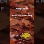 Mindful Insights: Psychology Facts for Well-Being #islamicpsychology #mindfulness #quote #motivation