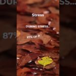 Mindful Insights: Psychology Facts for Well-Being #islamicpsychology #religion #mindfulness