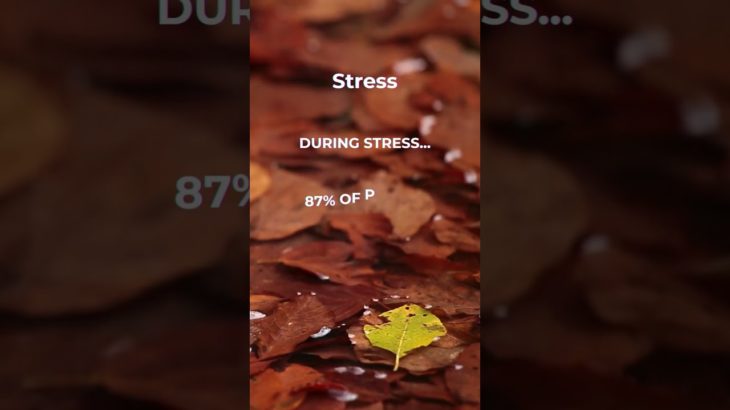 Mindful Insights: Psychology Facts for Well-Being #islamicpsychology #religion #mindfulness