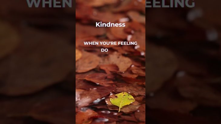 Mindful Insights: Psychology Facts for Well-Being #islamicpsychology #religion #mindfulness