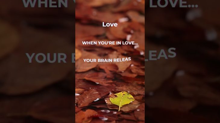 Mindful Insights: Psychology Facts for Well-Being #islamicpsychology #religion #mindfulness