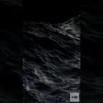 The Secret to Well-Being: How Stoicism Can Help You Appreciate the Small Things in Life: #dailystoic