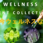 “Well-being”（持続的な幸福）に導く香り【Wellness Collection】（後編）