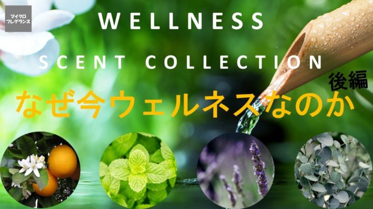 “Well-being”（持続的な幸福）に導く香り【Wellness Collection】（後編）