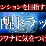 覚醒トラップに気をつけて。眠りのフィールドには罠がいっぱい。アセンションのために自分軸を取り戻せ。