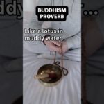 Buddhism Proverb #14 – Buddhism, Spirituality, Relationships & Well-Being Life Advice