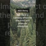 Well-being in nature. #wellbeing #nature #shorts #scentofnature #calming #relaxation #outdoors #live