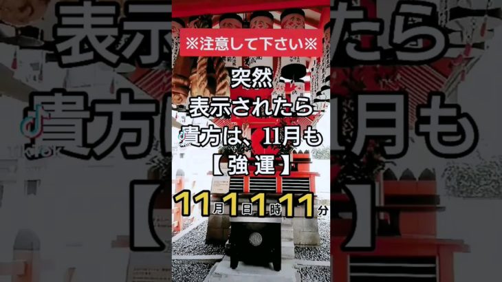 何故かこの動画が出てきた貴方!!11月も絶好調と自分に宣言して下さい✨怖いくらいうまくいきます🥰おめでとうございます🎊 #スピリチュアル #開運 #引き寄せ #潜在意識  #奇跡 #波動 #自己啓発