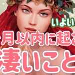 ✨👼✨【この動画を見た時がタイミング‼️】2ヶ月以内に起こる凄いこと✨👼💰💍💕🔥👀✨タロット・占い・オラクルカード・スピリチュアルリーディング