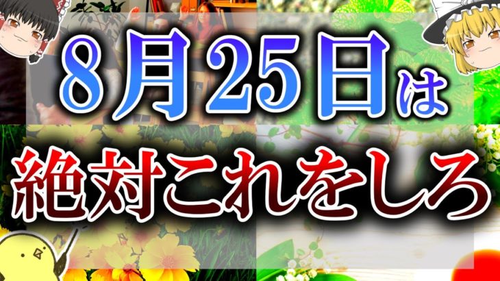 【ゆっくり解説】不浄な気が漂う8月25日に開運するには必ず”水”を飲んでください！朝”〇”時までに起きるとさらに運気UP！