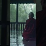 ストレス解消禅BGM（Zen music） #meditation #瞑想 #meditationmusic #潜在意識  #禅 #zen #zenmusic #zensounds