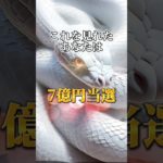 プロフリンクからLINE追加で、3大特典をプレゼント⛩✨  #スピリチュアル #金運 #開運