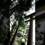 【Meditation music, 30s】live one day at a time【朝の瞑想】30秒間。今日一日、生きる。