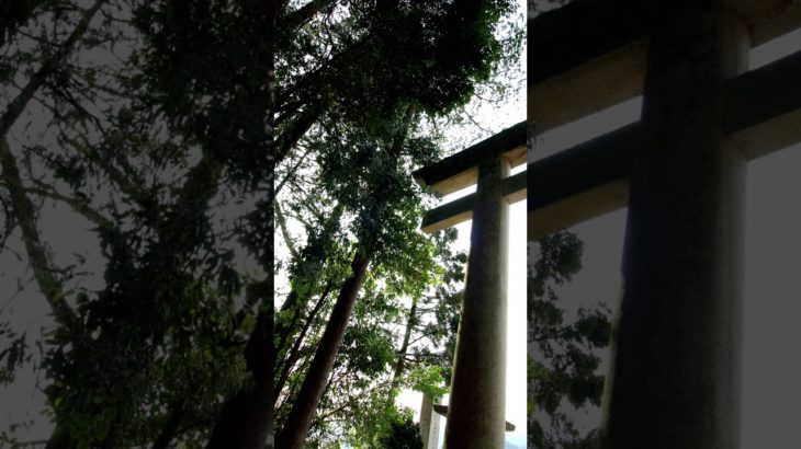 【Meditation music, 30s】live one day at a time【朝の瞑想】30秒間。今日一日、生きる。