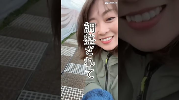 【最強の癒し】自然に触れると解放が起きる　#スピリチュアル #ヒーリング #shorts