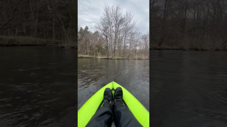 カヌー|せせらぎ|川の音| shorts |ASMR|水の音|癒し|瞑想|water sound|healing|meditation|study|環境音|自然音|natural sound