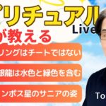【スピリチュアルカウンセラーが生解説】チャットで質問受付中