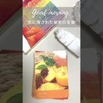 #ピーチ #生命の息吹 #癒し #瞑想 #オーラ #マインドフルネス #オラクルカード