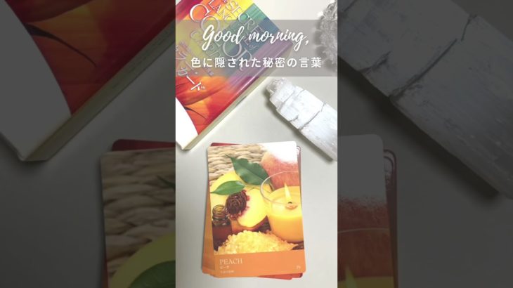 #ピーチ #生命の息吹 #癒し #瞑想 #オーラ #マインドフルネス #オラクルカード