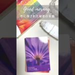 #バイオレット #バランスのとれた人生を創造する #癒し #瞑想 #オーラ #マインドフルネス #オラクルカード