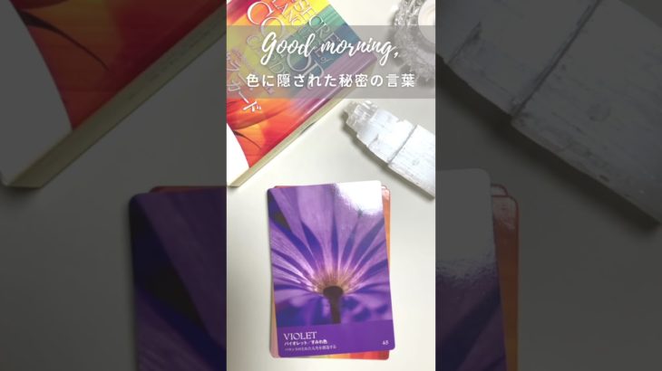 #バイオレット #バランスのとれた人生を創造する #癒し #瞑想 #オーラ #マインドフルネス #オラクルカード
