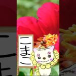 12/23のメッセージ♡ #占い #神様からの伝言 #メッセージ #スピリチュアル