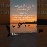 Dua 🤲 for forgiveness and well being #shortafeed#short_feed#bestdua #dua#shorts#ytshorts#fypシ゚