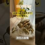 #癒し #龍神 #龍神様 #マインド #龍神パワー #スピリチュアル #つくもぐるみ #shorts