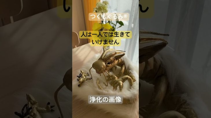 #癒し #龍神 #龍神様 #マインド #龍神パワー #スピリチュアル #つくもぐるみ #shorts