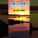 【癒しの言葉】一日の終わりの静かな瞑想　#shorts