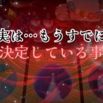 【鳥肌級‼️😨】実は…もうすでに決定している事‼️怖いほど当たる✨人生が変わるオラクルカードリーディング✨占い✨スピリチュアル✨