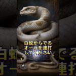 願いをコメントすると効果倍増⛩✨  #スピリチュアル #金運 #開運