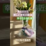 #癒し #龍神 #龍神様 #龍神パワー #スピリチュアル #虹龍 #青龍 #神様が宿るぬいぐるみ #つくもぐるみ