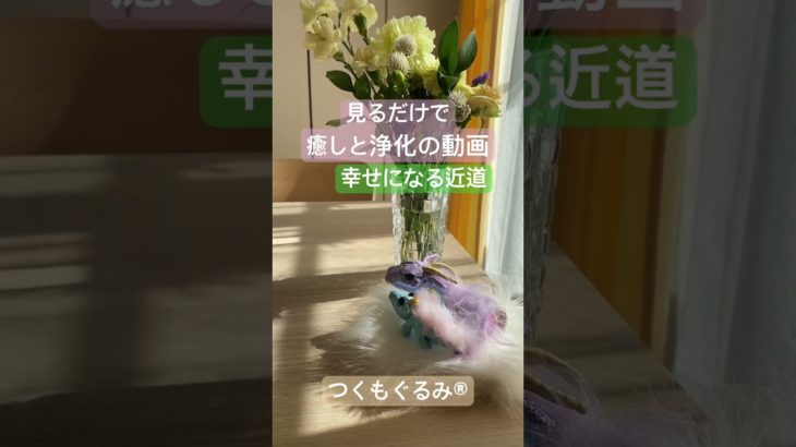 #癒し #龍神 #龍神様 #龍神パワー #スピリチュアル #虹龍 #青龍 #神様が宿るぬいぐるみ #つくもぐるみ