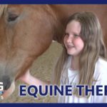Equine Therapy for the Mental Well-Being of Children | Living St. Louis