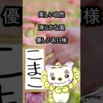 2/28のメッセージ♡ #こまこのまいにちメッセージ #スピリチュアルメッセージ #スピリチュアル好きな人と繋がりたい