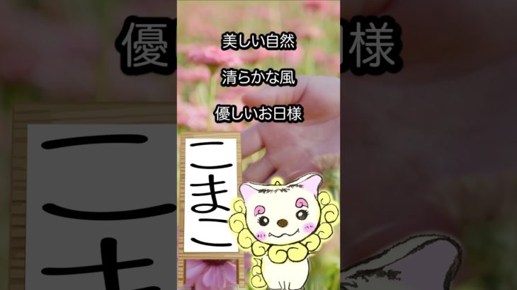 2/28のメッセージ♡ #こまこのまいにちメッセージ #スピリチュアルメッセージ #スピリチュアル好きな人と繋がりたい