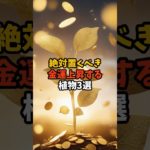 絶対置くべき金運上昇する植物3選 #スピリチュアル #サイン #金運 #花 #shorts