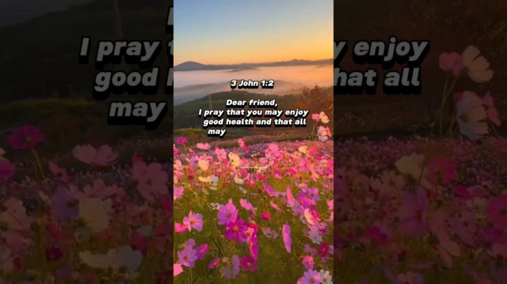 3John 1:2 A heartfelt wish for well-being and prosperity #bibleversesoftheday