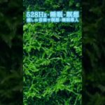 【528Hz・睡眠・瞑想】癒しの音楽で瞑想・睡眠導入 #shorts #528hz #528ヘルツ #ソルフェジオ周波数 #睡眠 #瞑想 #meditationmusic #relaxingmusic