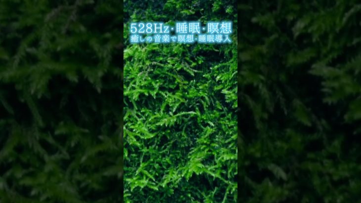 【528Hz・睡眠・瞑想】癒しの音楽で瞑想・睡眠導入 #shorts #528hz #528ヘルツ #ソルフェジオ周波数 #睡眠 #瞑想 #meditationmusic #relaxingmusic