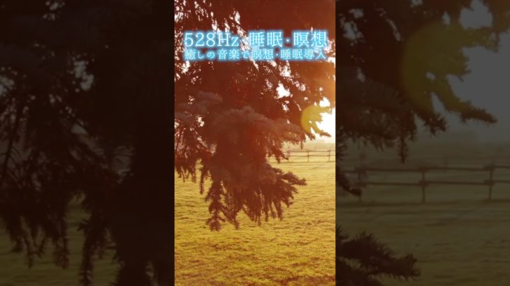 【528Hz・睡眠・瞑想】癒しの音楽で瞑想・睡眠導入 #shorts #528hz #528ヘルツ #ソルフェジオ周波数 #睡眠 #瞑想 #meditationmusic #relaxingmusic