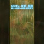【528Hz・睡眠・瞑想】癒しの音楽で瞑想・睡眠導入 #shorts #528hz #528ヘルツ #ソルフェジオ周波数 #睡眠 #瞑想 #meditationmusic #relaxingmusic